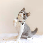 Boy Cat Collar Breakaway with Bell, Blue Plaid Cat Shirt Collar - Image 2