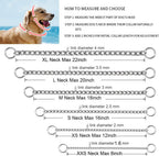 Heavy duty metal dog slip chain collar with dual ring attachment