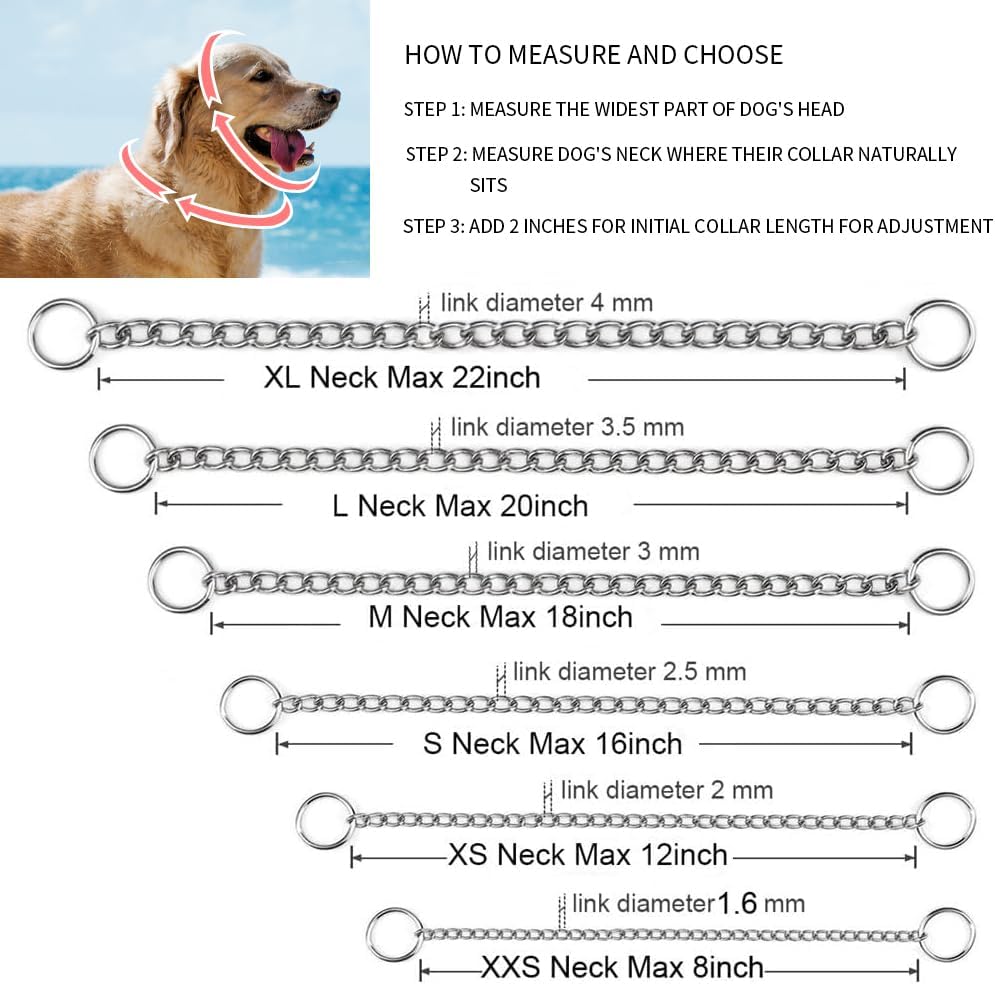 Heavy duty metal dog slip chain collar with dual ring attachment