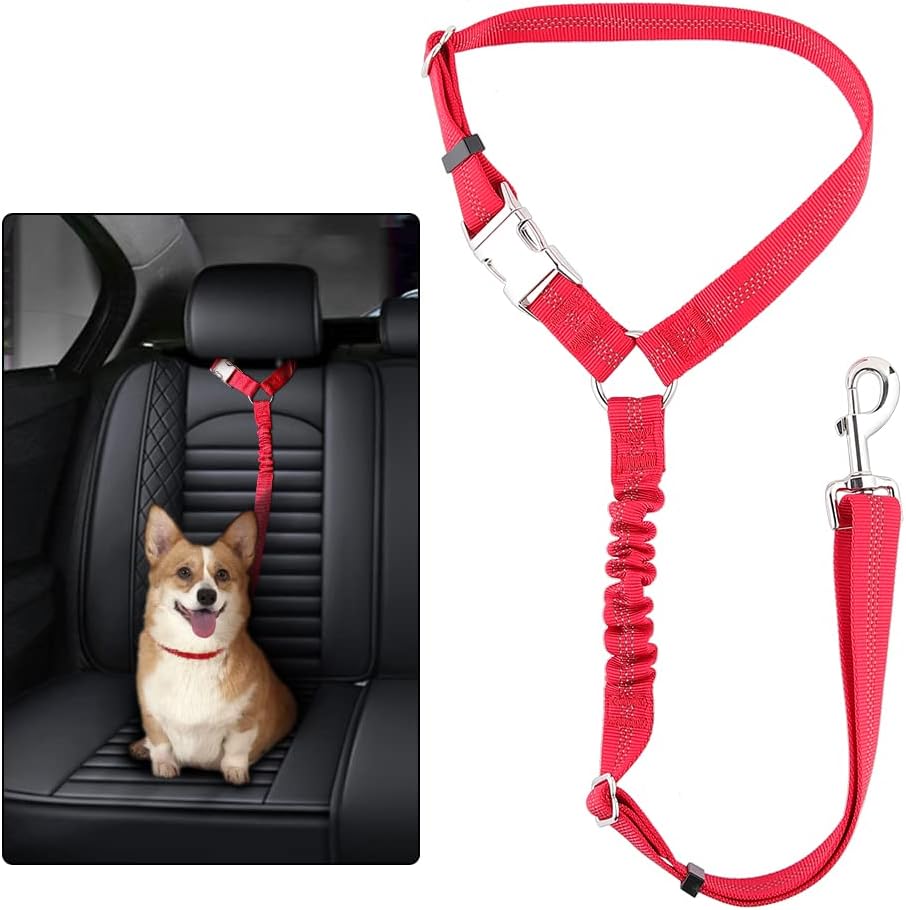 Dog safely secured in backseat with Plutus Pet restraint