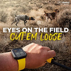Dogtra Pathfinder 2 collar on medium dog breed