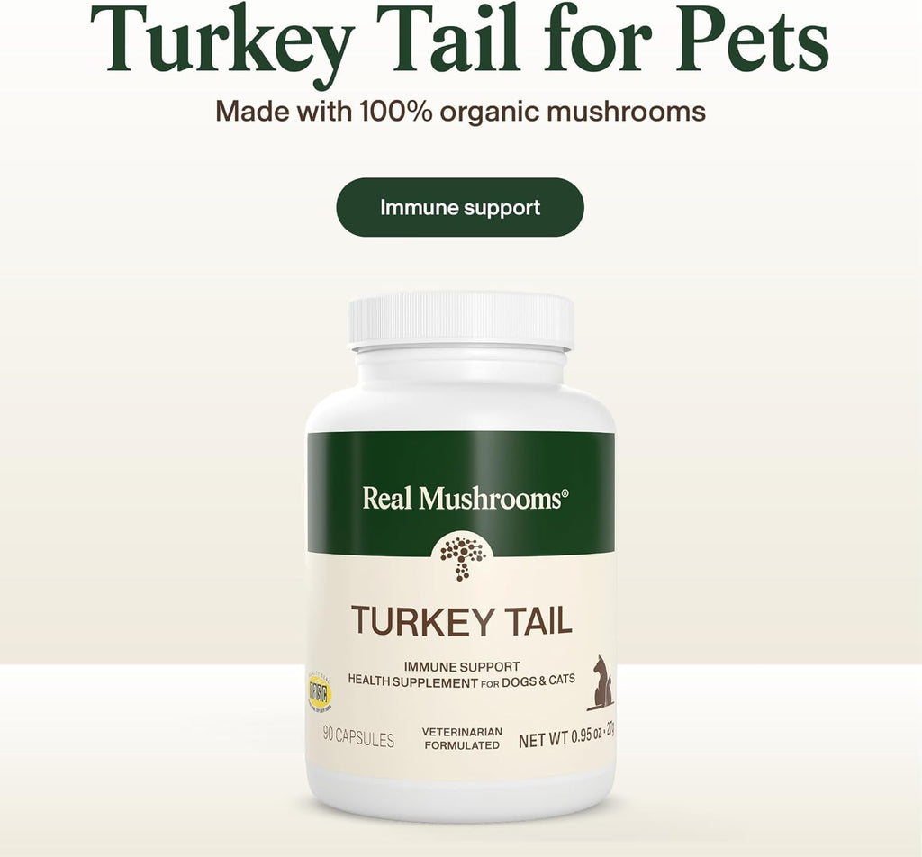 Organic mushroom supplement capsules for dogs and cats