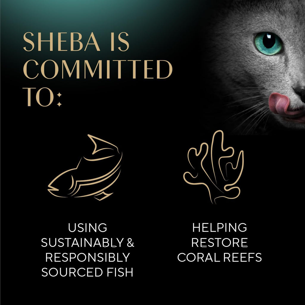 High protein cat snack variety pack imported from United States