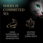 High protein cat snack variety pack imported from United States