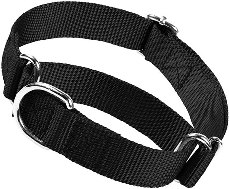 Hotlion black martingale dog collar front view for training