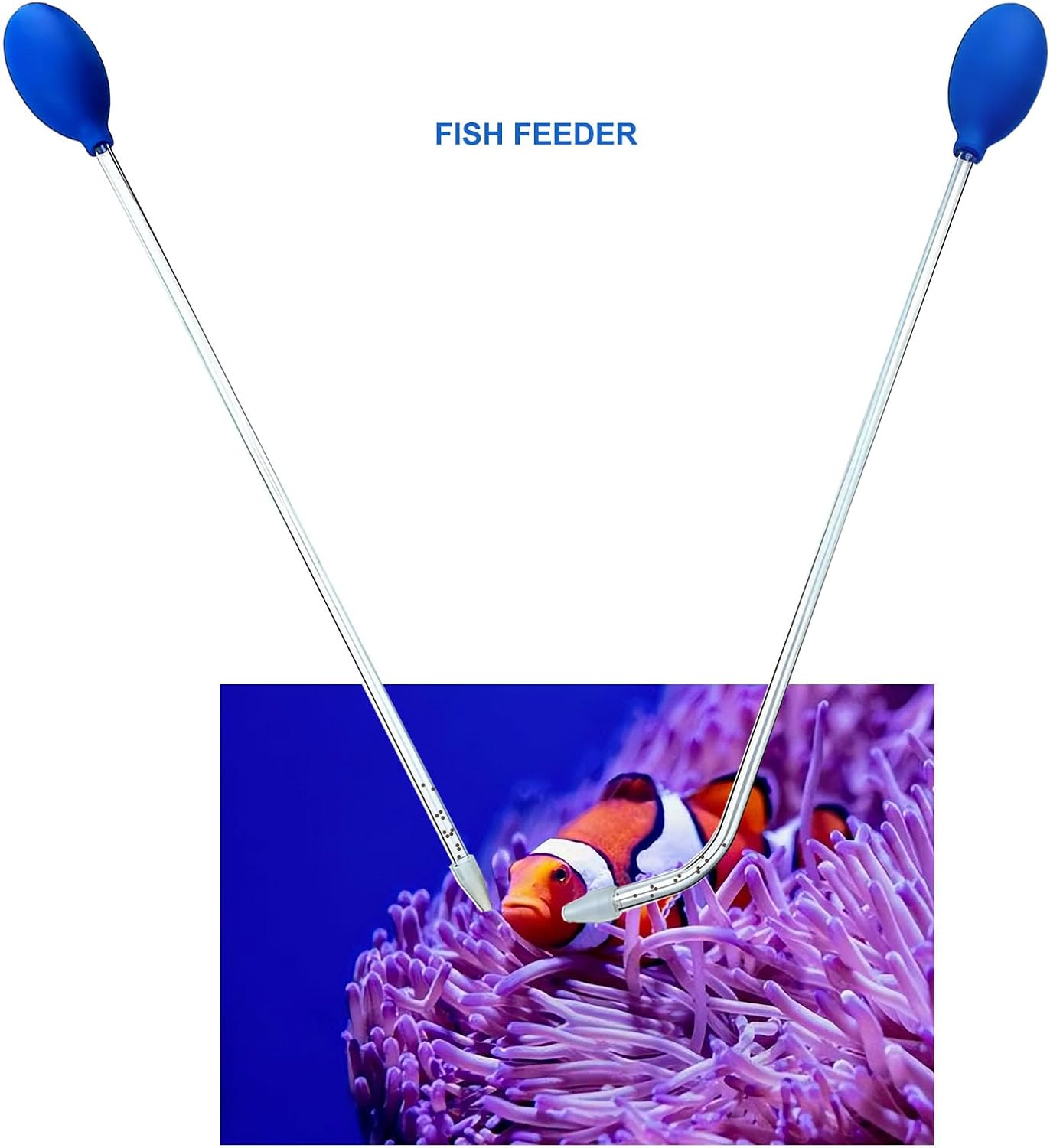 Target feeding marine corals inside a deep saltwater aquarium tank.