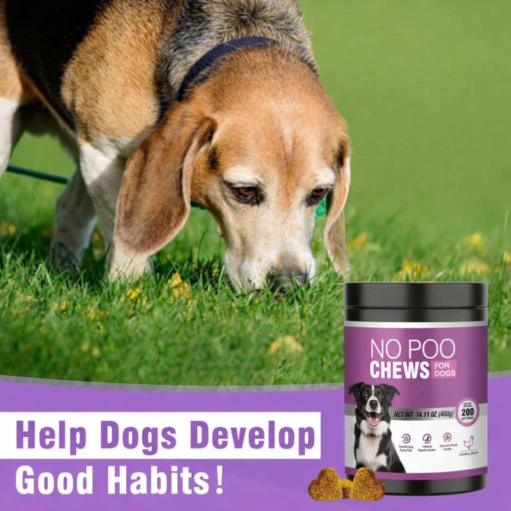 Graphic showing benefits of Ttixrl dog chews