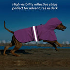 Ezierfy lightweight dog hooded poncho back view illustrating the built-in leash hole for easy tracking.
