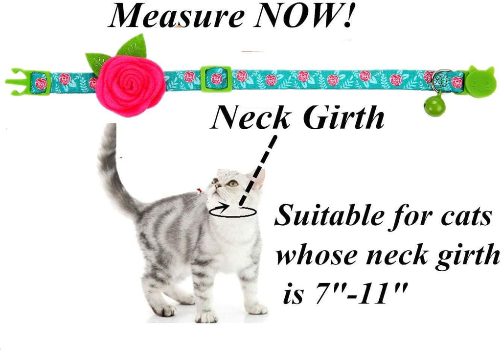 Authentic BoomBone cat accessory set in packaging