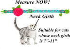 Authentic BoomBone cat accessory set in packaging