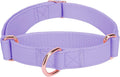 AaufiLux soft leather martingale dog collar purple front view