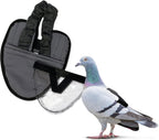 Hen Holster Wrap-Around Bird Diaper & Harness for Hens, Roosters, Ducks, Geese - with Removable Vinyl Liner, Adjustable Fit for Outdoor Adventures & Indoor Use - Easy to wear - XL, Gray - Image 15