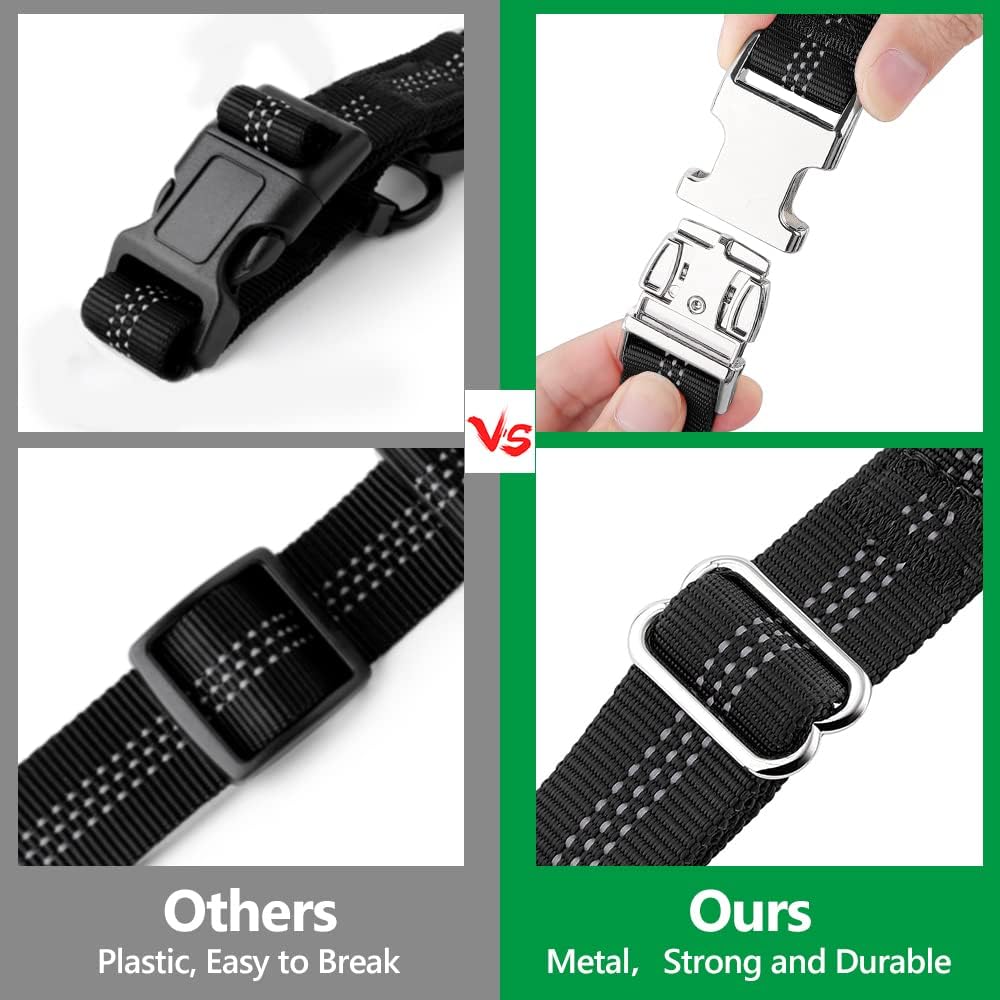 Plutus Pet dog restraint with reflective stitching in dark
