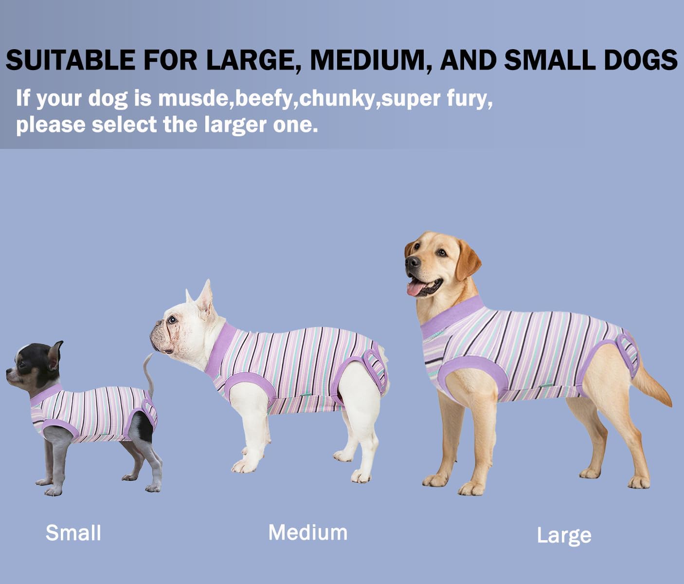 Demonstration of the roll-up design for convenient potty breaks on the Sebidtco recovery garment.