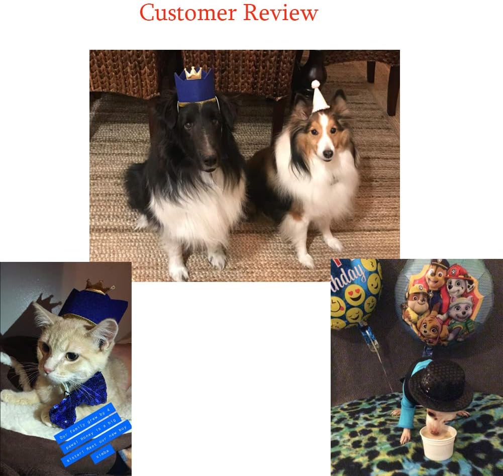 Side profile of Arogheiz pet party accessory set
