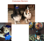 Side profile of Arogheiz pet party accessory set