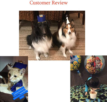 Side profile of Arogheiz pet party accessory set