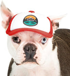 Sunset Collection, PupLid Trucker Hats for Dogs (Large) Premium Stylish Sun Protection for The Modern Dog - Adjustable for Secure Comfortable Fit on Active Dogs (Black, All-Terrain) - Image 12