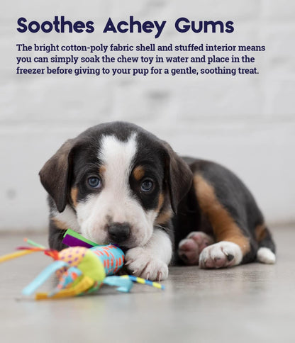 Petstages cooling teething stick for zero to six month old puppies close up