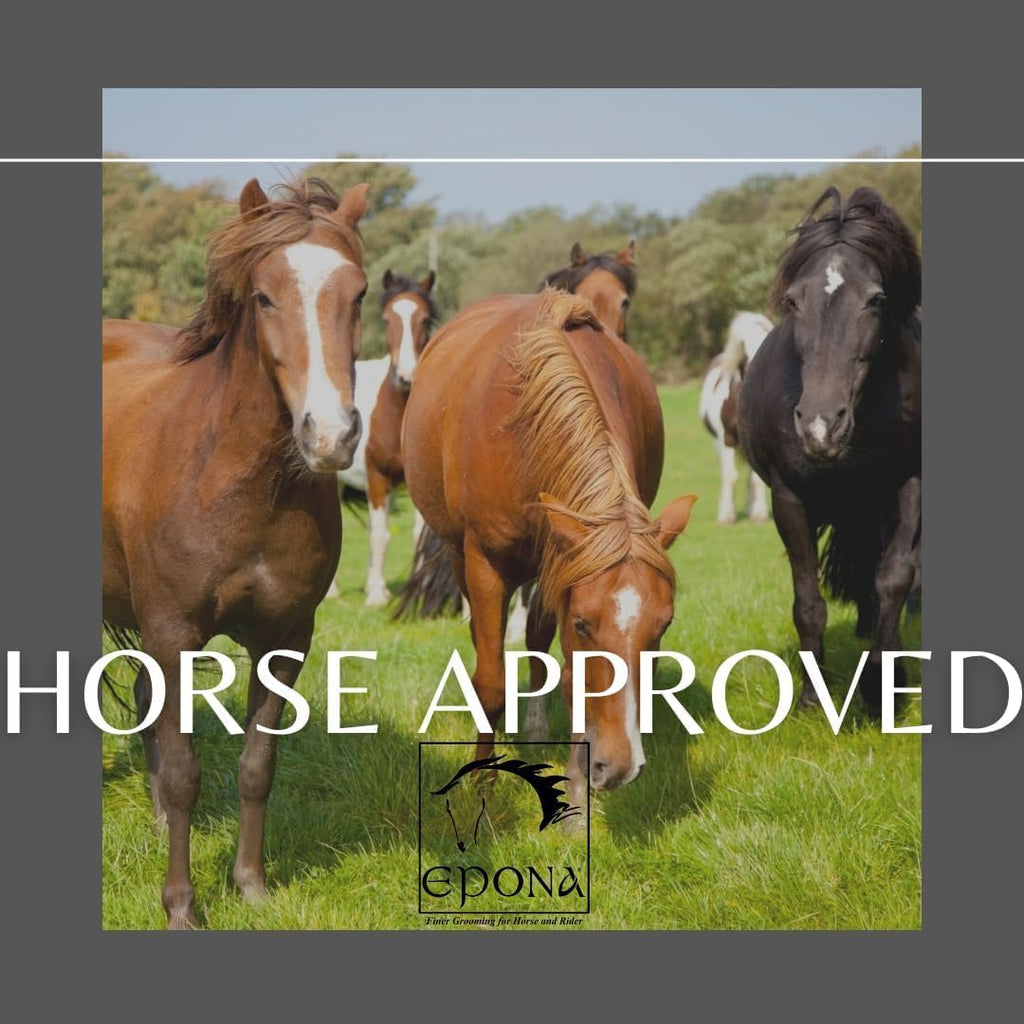 Authentic Epona imported tack sponge for gentle cleaning of bits and buckles
