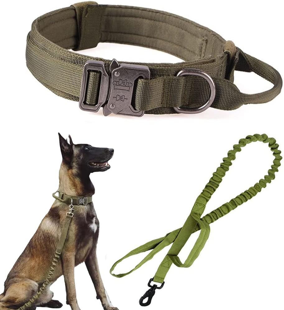 Military style dog collar with leash D-ring