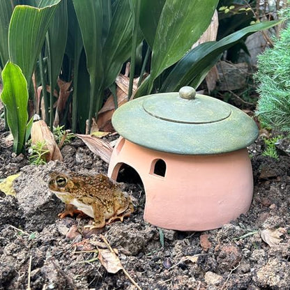 Frog and Toad House 8 x 6Inch Toad House for Outside Garden Reptile Cave Red Pottery Ceramics Small Reptile Cave Hide Reptile Hides and Caves Snake Toad Frog Turtle House Green with Lid - Image 4