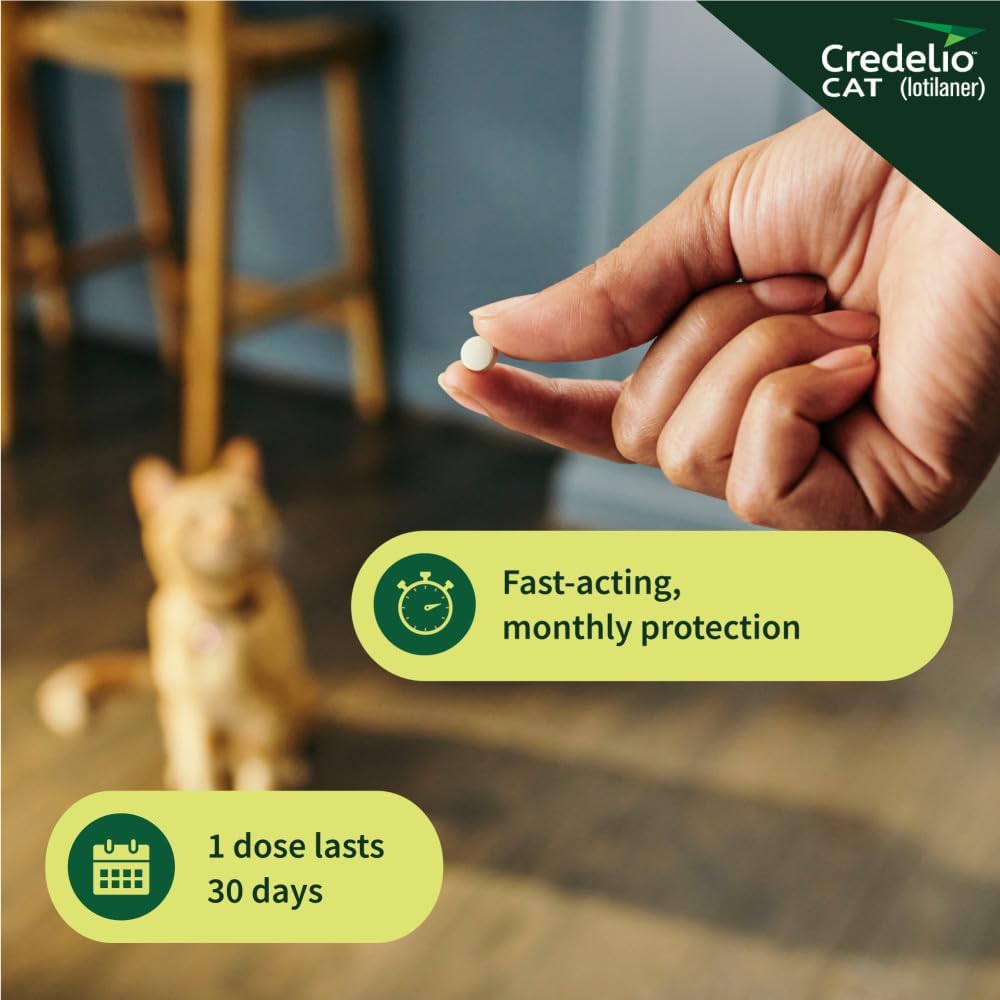 Instructions for using Credelio cat chewable tablets