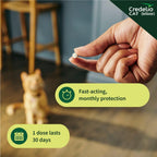 Instructions for using Credelio cat chewable tablets