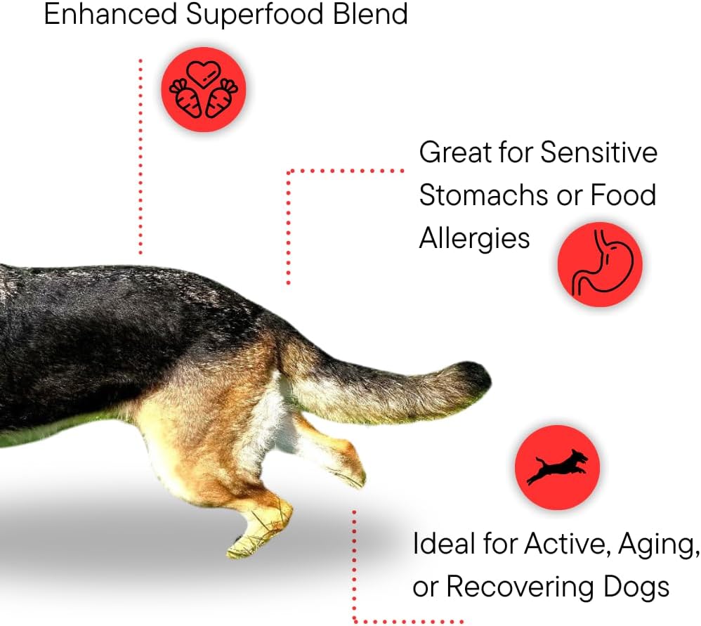 Dr Kellyann dog bone broth powder superfood blend ingredients list