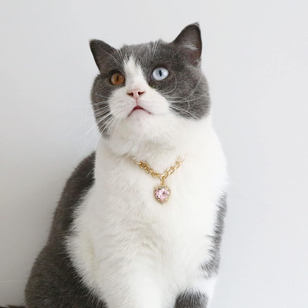 SOGAYU luxury pet charm jewelry showing full length thirty centimeter adjustable chain layout