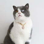 SOGAYU luxury pet charm jewelry showing full length thirty centimeter adjustable chain layout