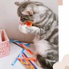 Demonstration of the adjustable and stretchable features of the interactive pet coil accessory