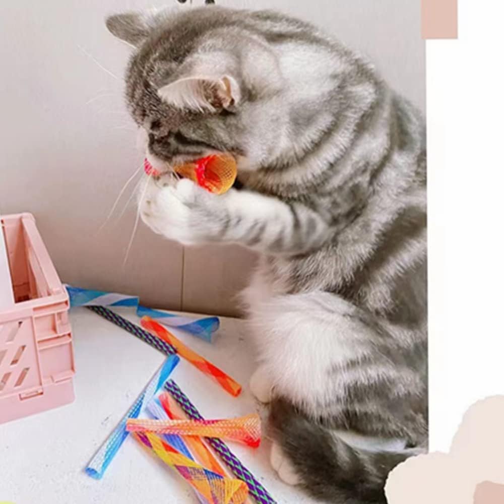 Demonstration of the adjustable and stretchable features of the interactive pet coil accessory