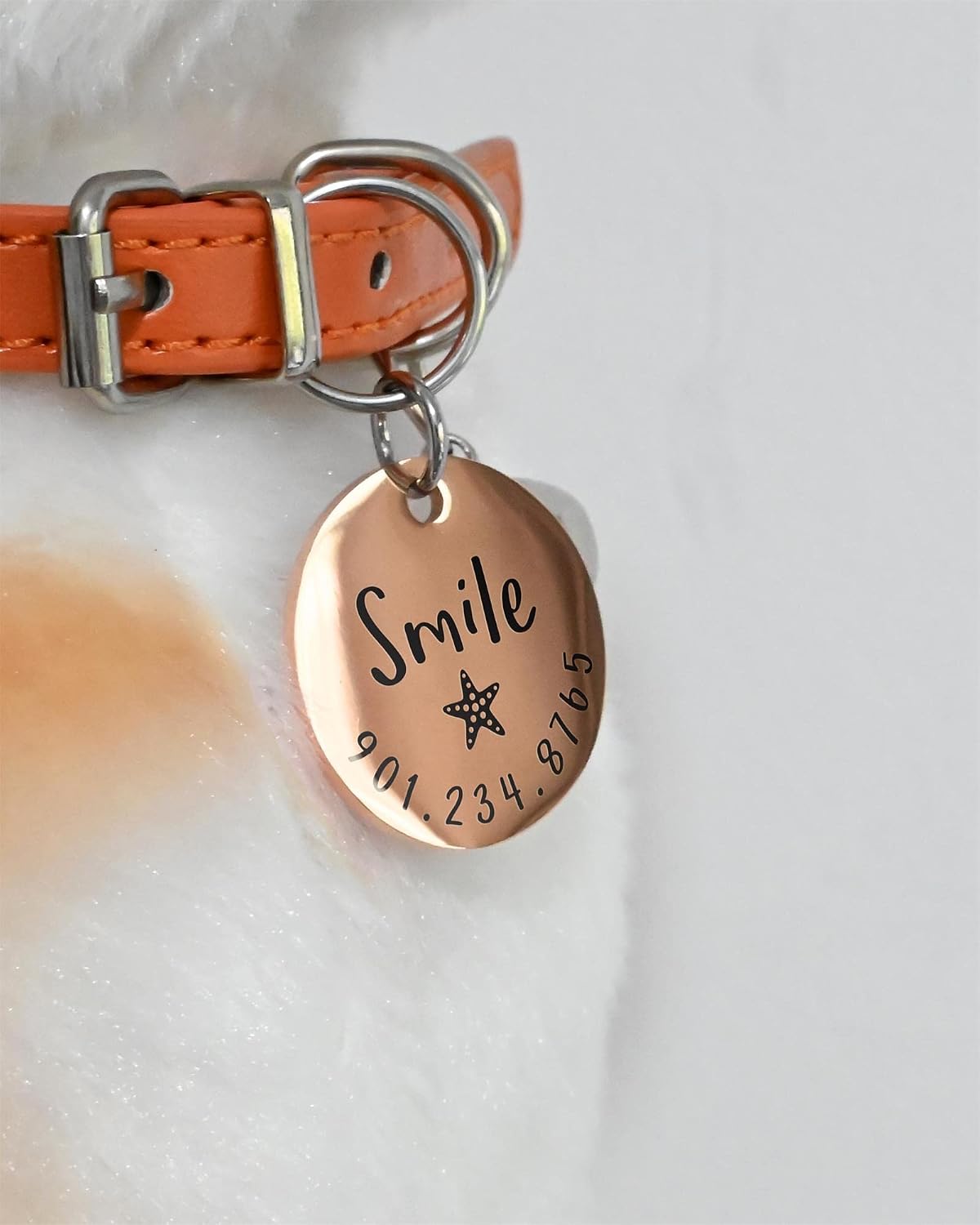 Durable tarnish resistant pet collar charm with customized phone number.