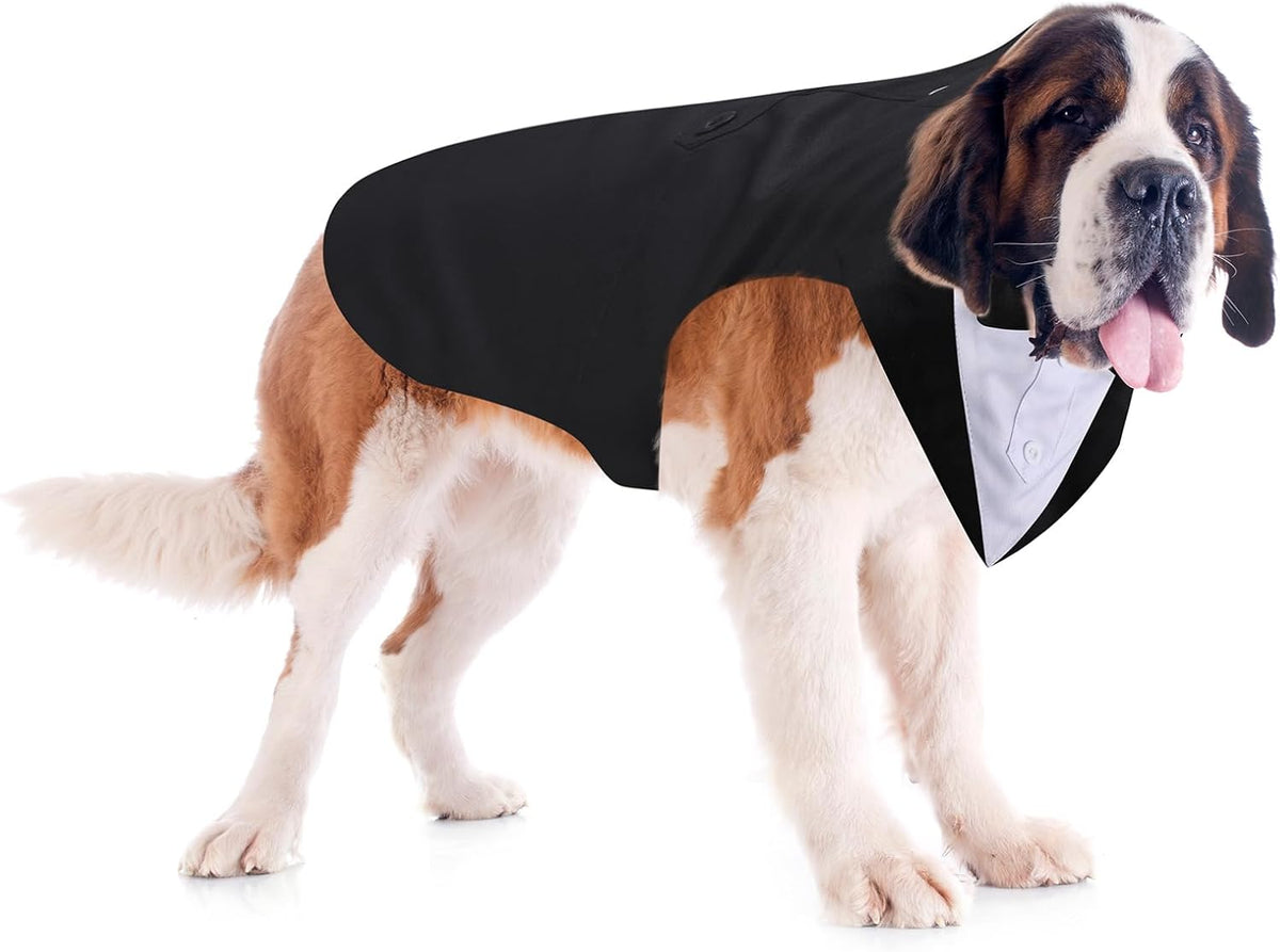 Weewooday dog costume for wedding birthday holiday celebrations display