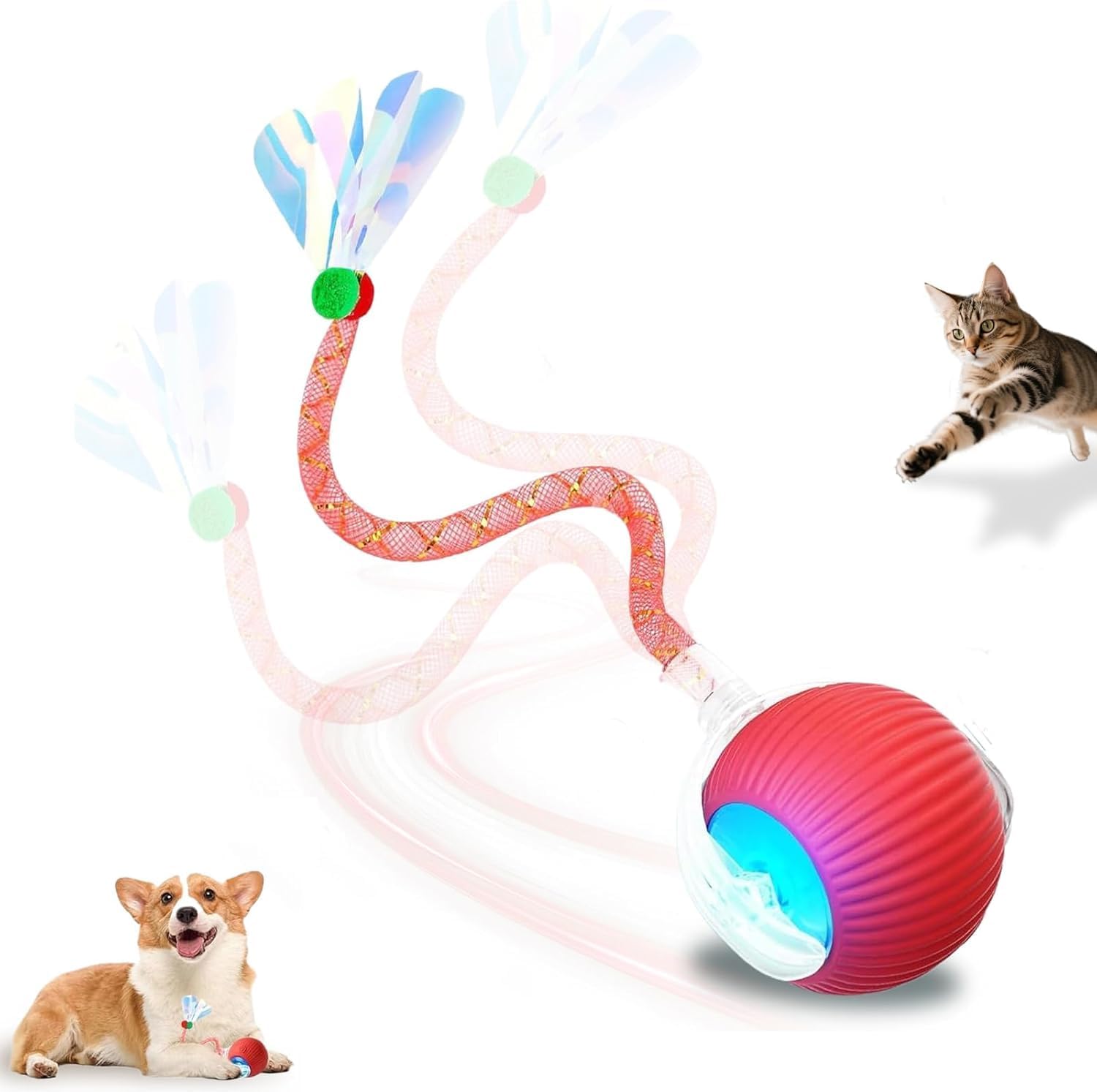 2-Pack USB Rechargeable Smart Cat Toy Ball, 360 degrees Rotation Automatic Moving Chase Toy, Obstacle Avoidance Interactive Play with 4 Spiral Springs, Enrichment Toys for Indoor Cats, Puppies & Small Dogs - Image 12