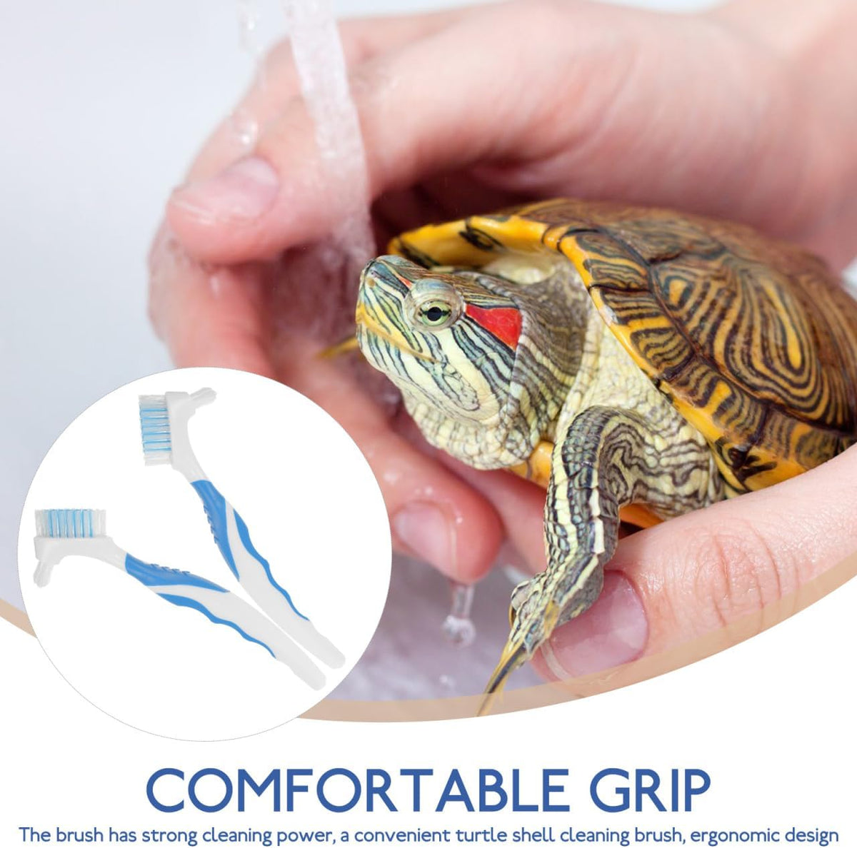 NOLITOY multi purpose reptile care and household gap cleaning brush pack in authentic imported packaging.
