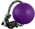 Jolly Pets puncture-proof dog ball toy for medium breeds