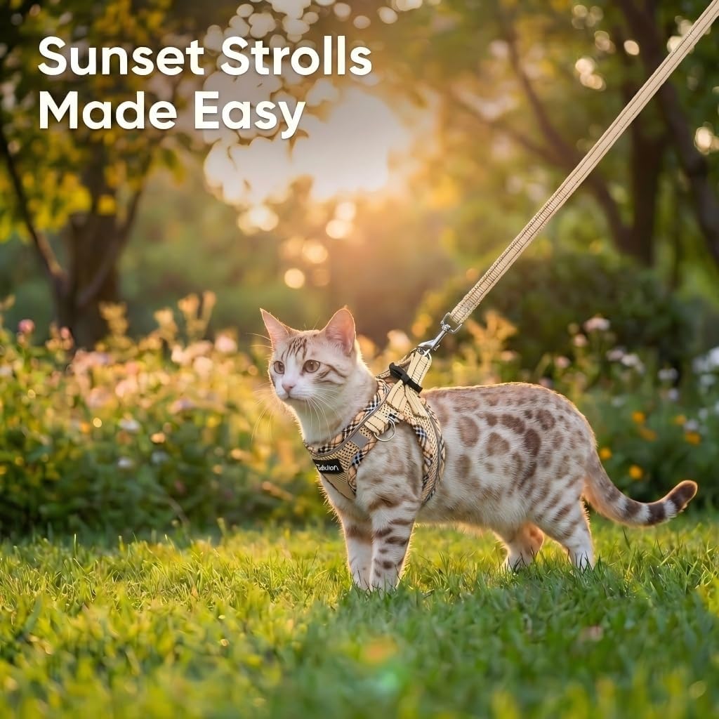 Secure beige plaid cat vest harness for safe vet visits