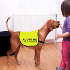 Side profile of CENWA adoption vest with text