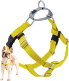 2 Hounds Design Freedom No Pull Dog Harness, Adjustable Harness, Easy Walking & Comfortable Control, Fits Small, Medium & Large Dogs, Solid Colors, Made in USA, 1" MD, Teal - Image 10