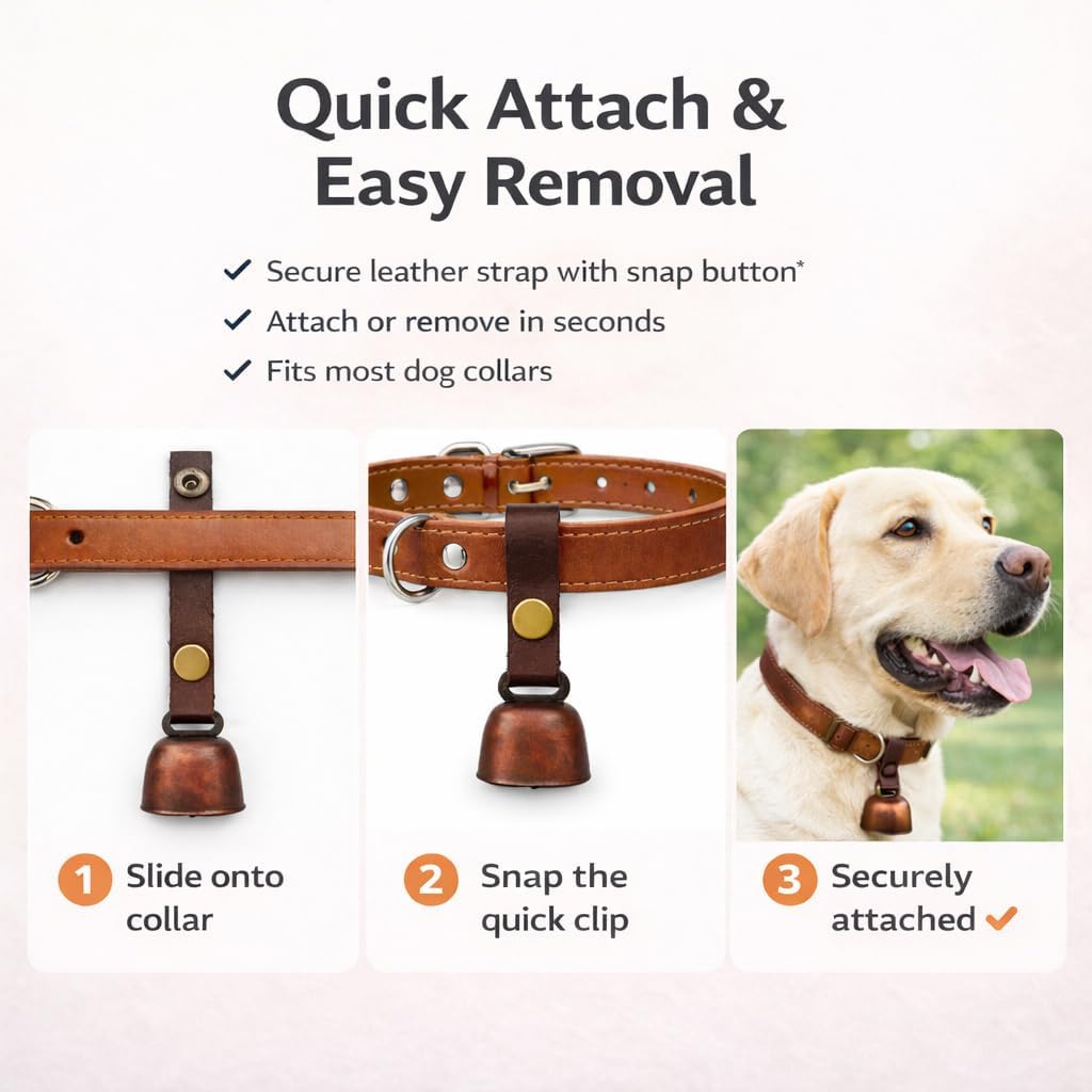 Kcrygogo durable two-millimeter thick leather pet collar bell attachment in an outdoor setting.