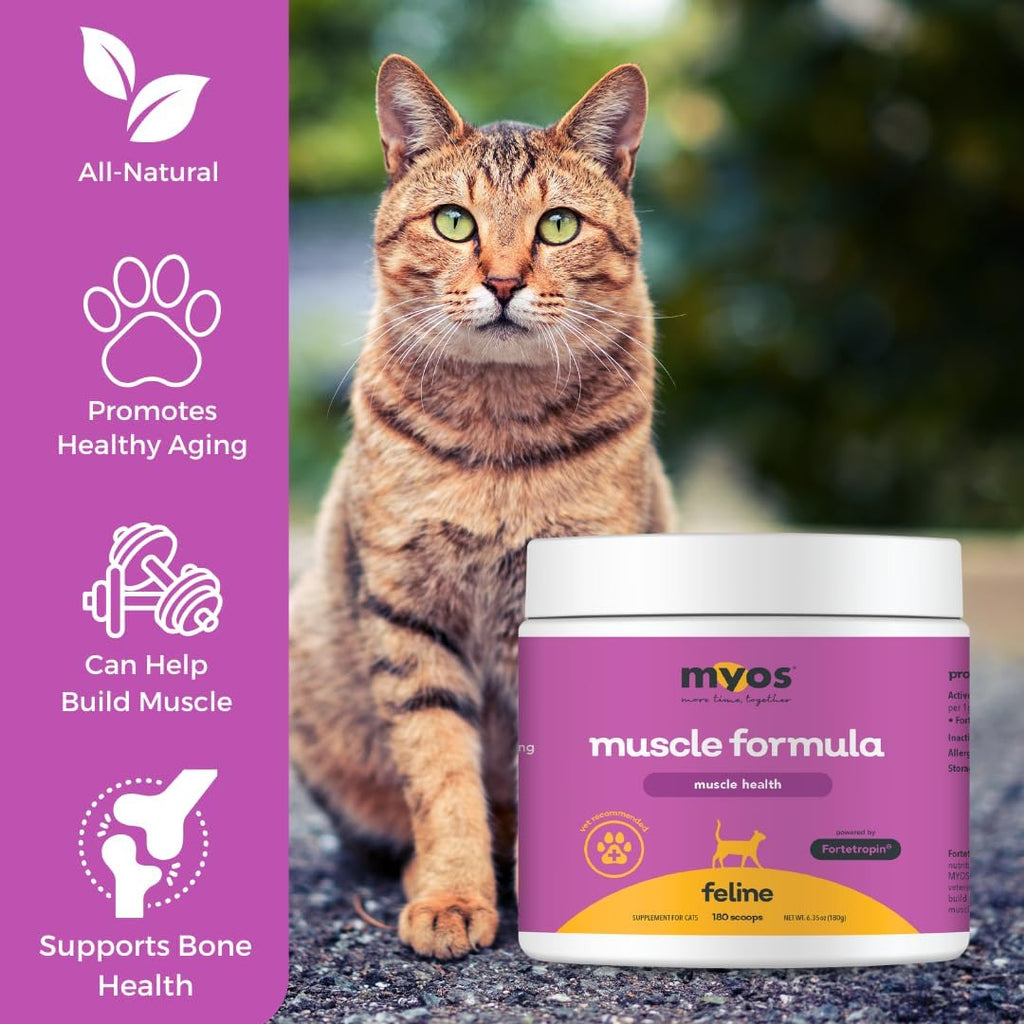 Myos Feline Muscle Formula nutritional supplement powder texture
