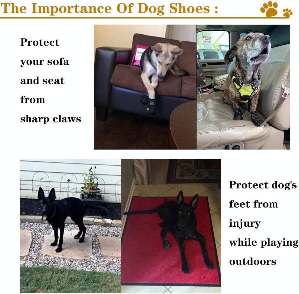 Dog wearing XSY&G protective boots on paved surface
