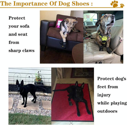 Dog wearing XSY&G protective boots on paved surface
