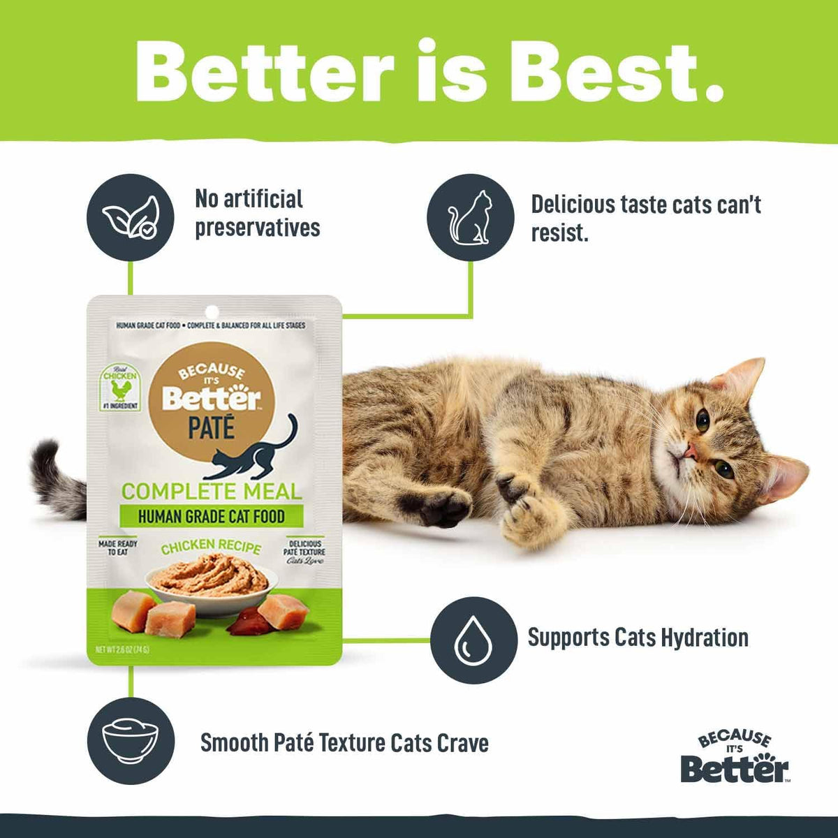 High moisture chicken pate cat food multi pack box