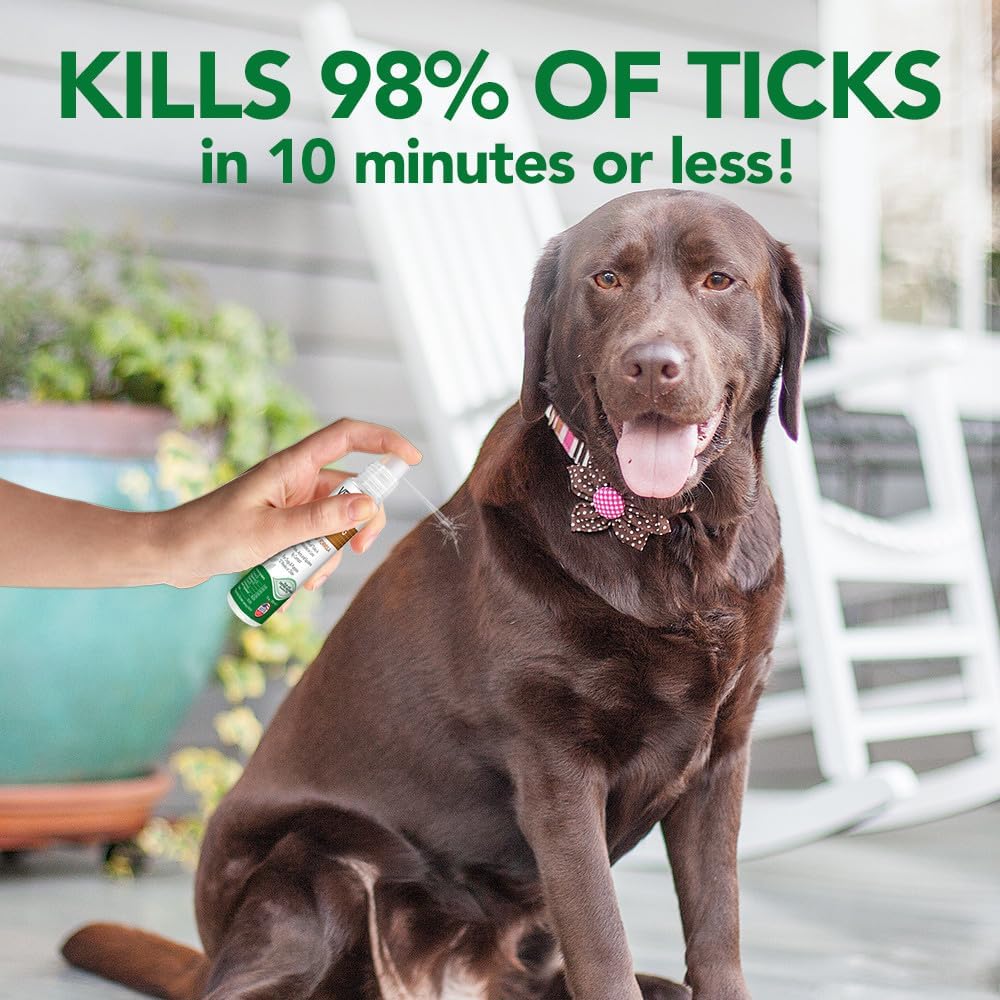 Close up of Vet's Best dog tick spray travel size packaging