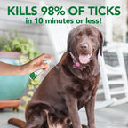Close up of Vet's Best dog tick spray travel size packaging