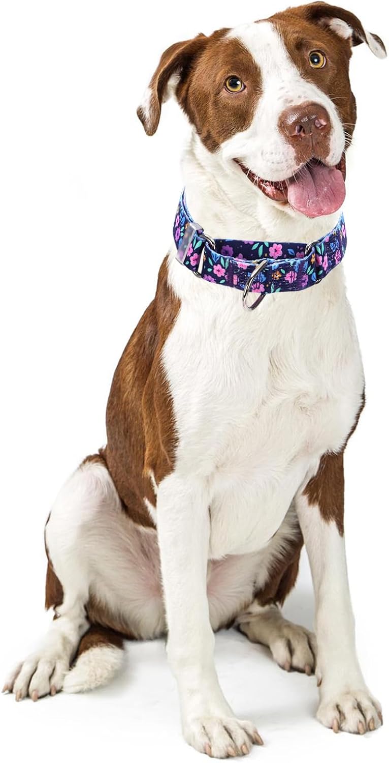 Humane dog training collar with durable metal D ring.