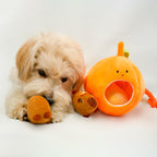 MewaJump Hide and Seek Small Dog Toys, Squeaky Dog Plush Toys for Small Dog, Pumpkin and Animal Crinkle Plush Stuffed Dog Toy, Small Puppy Cat Toy Set to Keep Them Busy - Image 9